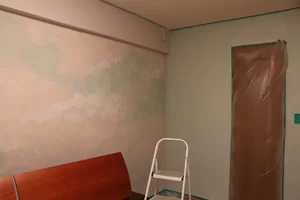 Diy 室内の壁のペイント 塗装 は意外と簡単 壁紙の上からきれいにペインティングするコツ 単色でも多色でも思いのまま グリーン インテリア ー 何気ない日々をおもしろく ー